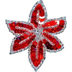 PASTORELLI ΧΡΩΜΑΤΙΣΤΟ ΛΟΥΛΟΥΔΙ ΤΣΙΜΠΙΔΑΚΙ ΜΑΛΛΙΩΝ ΜΕ ΠΟΥΛΙΕΣ ΚΟΚΚΙΝΟ ΑΣΗΜΙ