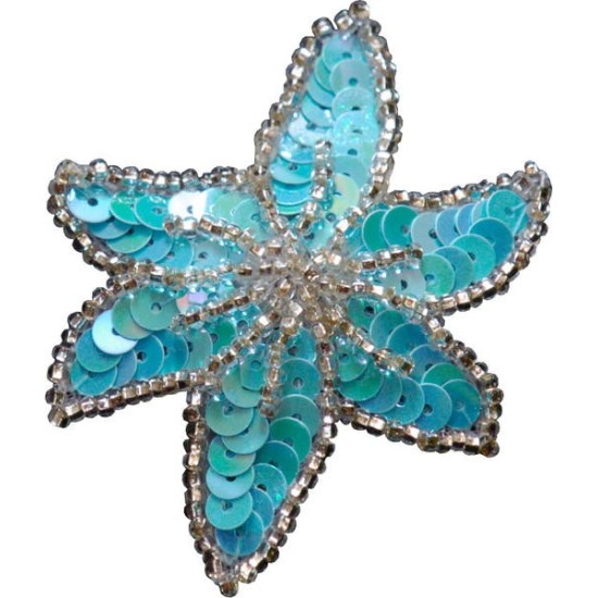 PASTORELLI ΧΡΩΜΑΤΙΣΤΟ ΛΟΥΛΟΥΔΙ ΤΣΙΜΠΙΔΑΚΙ ΜΑΛΛΙΩΝ ΜΕ ΠΟΥΛΙΕΣ ΤΙΡΚΟΥΑΖ ΑΣΗΜΙ ΑΞΕΣΟΥΑΡ ΜΑΛΛΙΩΝ