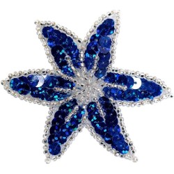 PASTORELLI ΧΡΩΜΑΤΙΣΤΟ ΛΟΥΛΟΥΔΙ ΤΣΙΜΠΙΔΑΚΙ ΜΑΛΛΙΩΝ ΜΕ ΠΟΥΛΙΕΣ ΜΠΛΕ ΑΣΗΜΙ