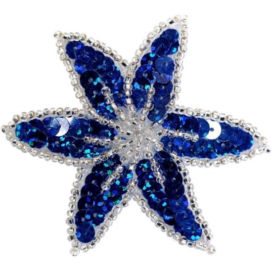 PASTORELLI ΧΡΩΜΑΤΙΣΤΟ ΛΟΥΛΟΥΔΙ ΤΣΙΜΠΙΔΑΚΙ ΜΑΛΛΙΩΝ ΜΕ ΠΟΥΛΙΕΣ ΜΠΛΕ ΑΣΗΜΙ ΑΞΕΣΟΥΑΡ ΜΑΛΛΙΩΝ