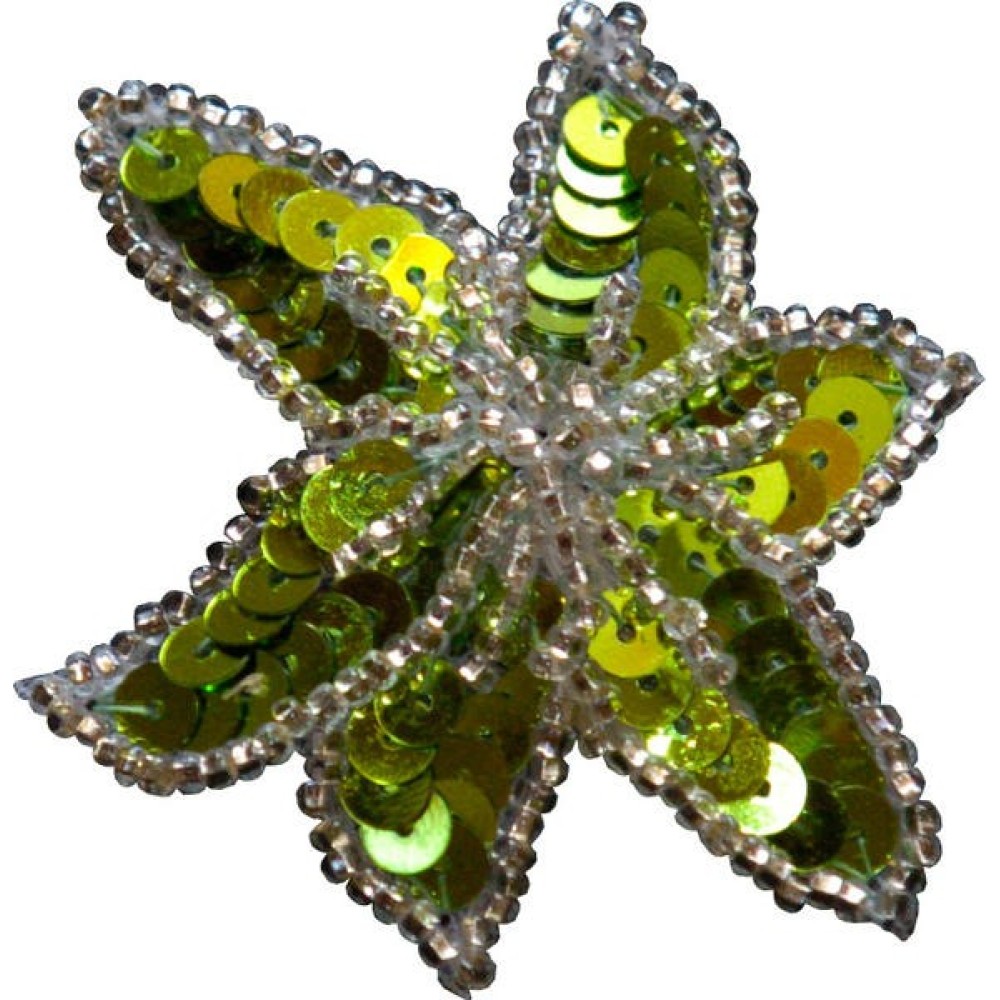 PASTORELLI ΧΡΩΜΑΤΙΣΤΟ ΛΟΥΛΟΥΔΙ ΤΣΙΜΠΙΔΑΚΙ ΜΑΛΛΙΩΝ ΜΕ ΠΟΥΛΙΕΣ ΠΡΑΣΙΝΟ ΑΣΗΜΙ