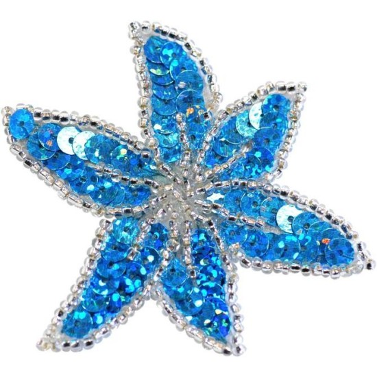 PASTORELLI ΧΡΩΜΑΤΙΣΤΟ ΛΟΥΛΟΥΔΙ ΤΣΙΜΠΙΔΑΚΙ ΜΑΛΛΙΩΝ ΜΕ ΠΟΥΛΙΕΣ ΓΑΛΑΖΙΟ ΑΣΗΜΙ ΑΞΕΣΟΥΑΡ ΜΑΛΛΙΩΝ