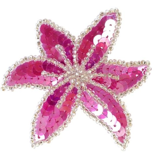 PASTORELLI ΧΡΩΜΑΤΙΣΤΟ ΛΟΥΛΟΥΔΙ ΤΣΙΜΠΙΔΑΚΙ ΜΑΛΛΙΩΝ ΜΕ ΠΟΥΛΙΕΣ ΜΑΤΖΕΝΤΑ ΑΣΗΜΙ ΑΞΕΣΟΥΑΡ ΜΑΛΛΙΩΝ