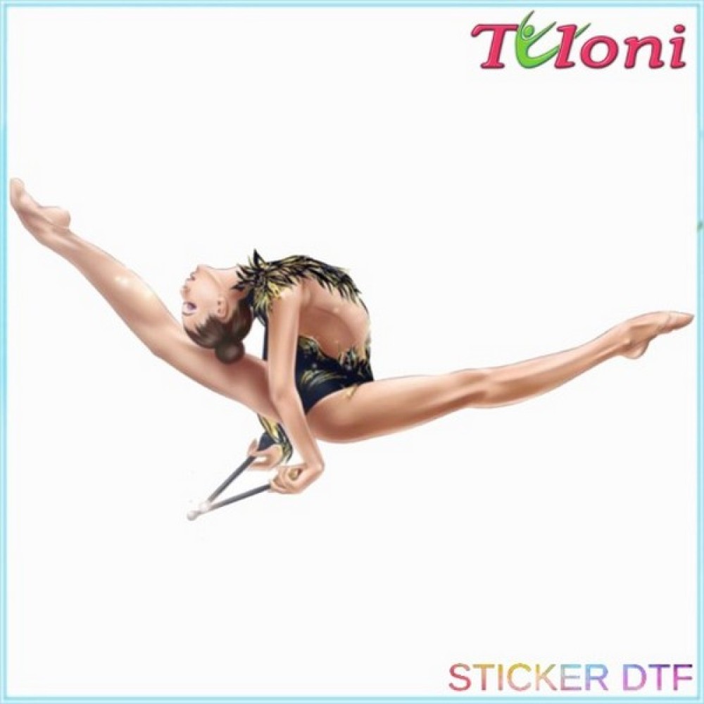 ΘΕΡΜΟΚΟΛΛΗΤΙΚΟ ΤΥΠΩΜΑ ΡΥΘΜΙΚΗΣ 11