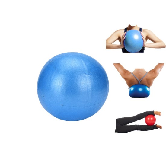 ΜΠΑΛΑ PILATES ΜΙΚΡΗ 25cm ΜΙΚΡΟΟΡΓΑΝΑ