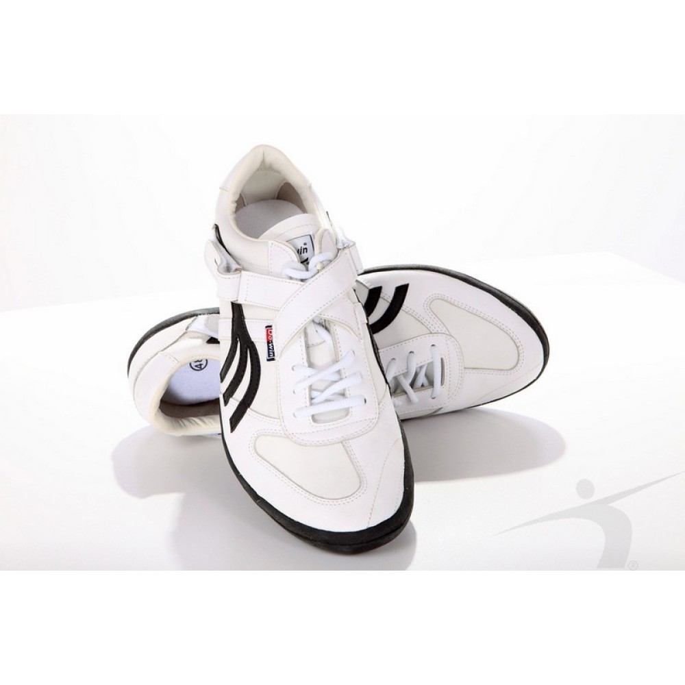 Παπούτσια δίσκου- σφαίρας- σφύρας